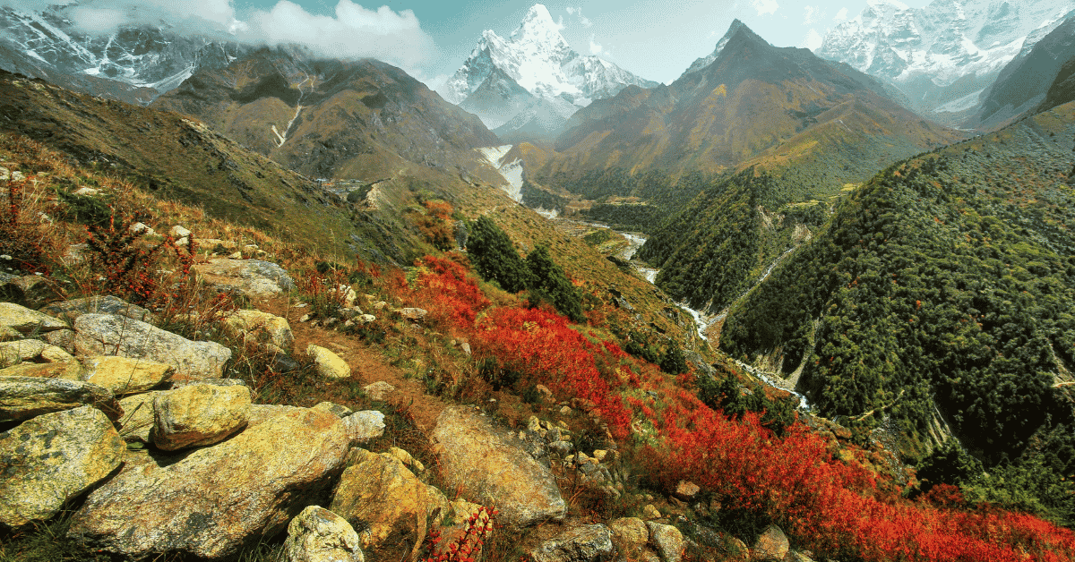 Best Time To Visit Nepal, Month by Month, Weather, Crowds, And Flight Prices 